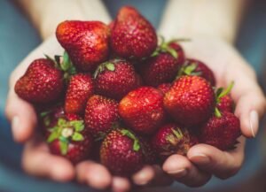 strawberry safe for lovebirds